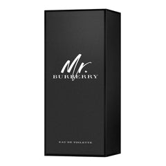 Burberry Mr. Burberry For Men EDT 100ml